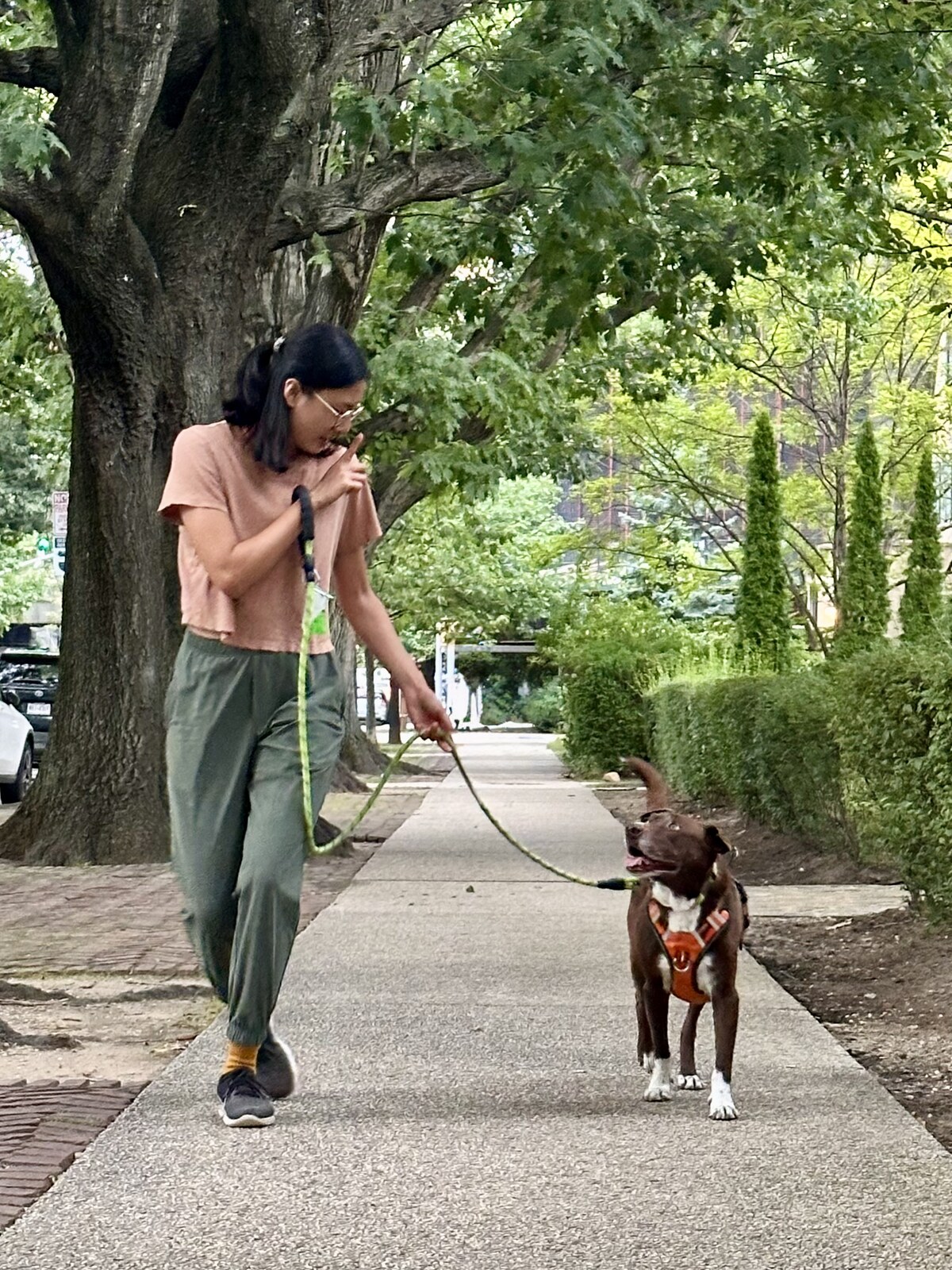 Joyce walking a brown dog on a leafy Queens sidewalk
